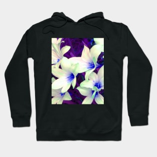 Starlight Hoodie